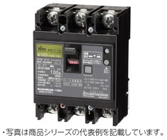 GE102CA 2P 100A F100 漏電ブレーカ(協約形)2P2E 定格電流100A