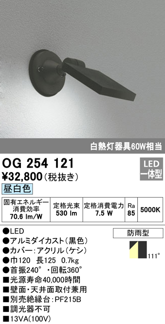 OG254121 屋外用スポットライト フレンジ型 白熱灯60Wタイプ 昼白色