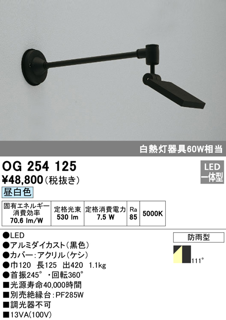 OG254125 屋外用スポットライト アームタイプ 白熱灯60Wタイプ 昼白色