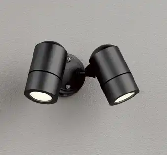 OG254564LR 屋外用スポットライト ランプ交換型 白熱灯50W相当×2灯 非調光・電球色 色：黒色サテン