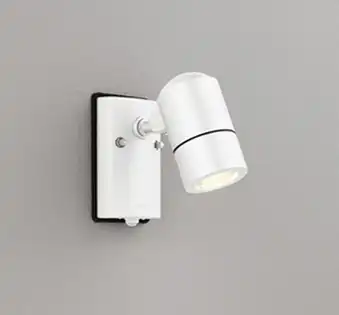 OG254566LR 屋外用スポットライト 人感センサ付 調光器不可 ランプ交換型 白熱灯50W相当 非調光・電球色 色：オフホワイト