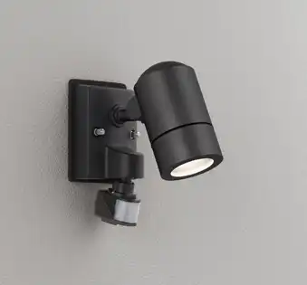 OG254639LR 屋外用スポットライト 人感センサ・フラッシュ機能付 調光器不可 ランプ交換型 白熱灯50W相当 非調光・電球色 色：黒色サテン
