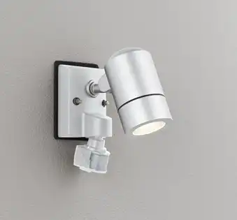 OG254640LR 屋外用スポットライト 人感センサ・フラッシュ機能付 調光器不可 ランプ交換型 白熱灯50W相当 非調光・電球色 色：マットシルバー