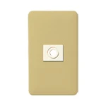 WN6081Y モダン電話線プレート(取付枠付)(ダークベージュ)